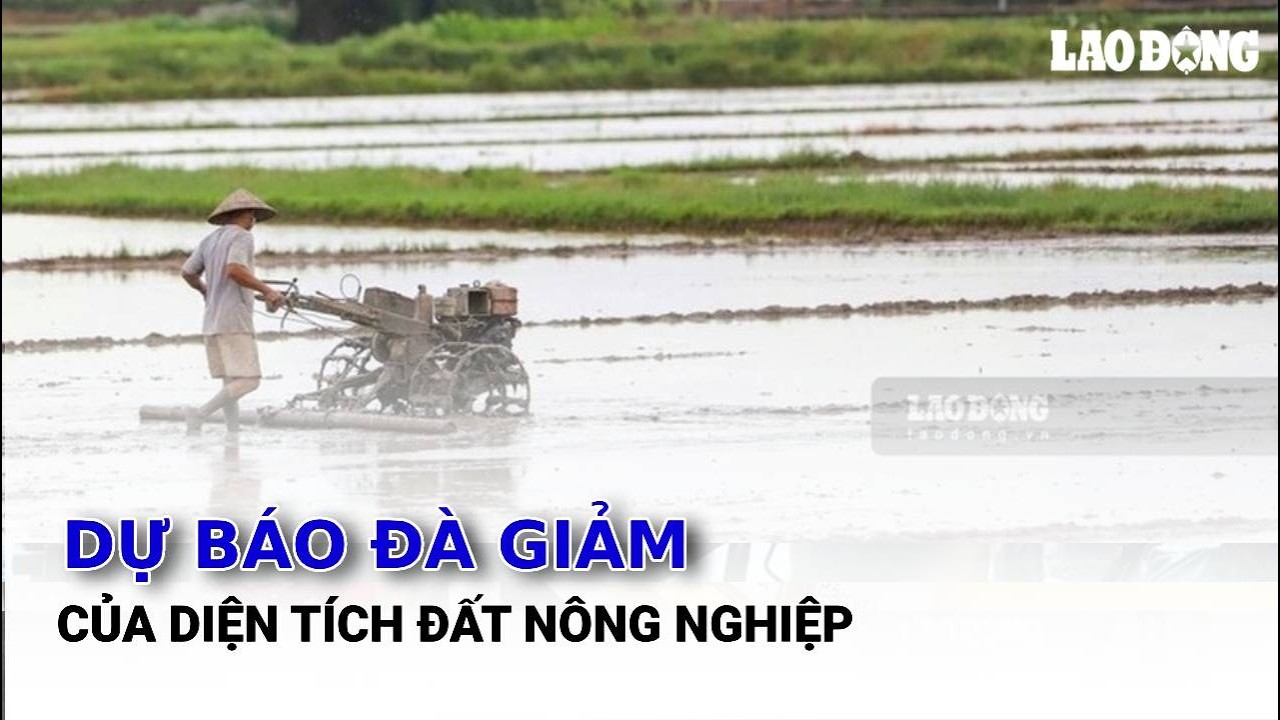Dự báo đà giảm của diện tích đất nông nghiệp | Báo Lao Động