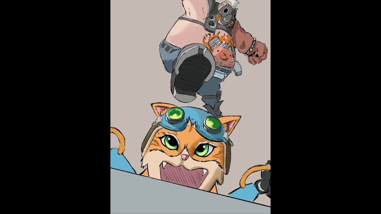 CAT MONTAGE