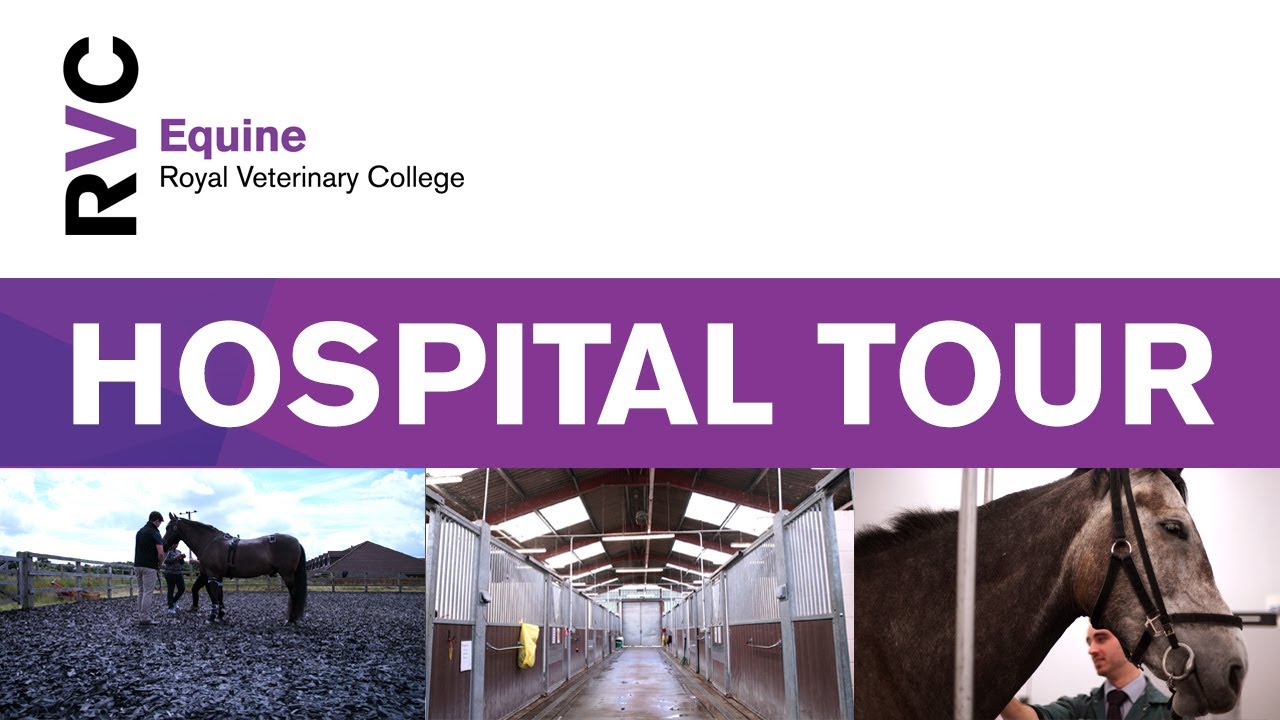 RVC Equine Hospital Tour, Hertfordshire