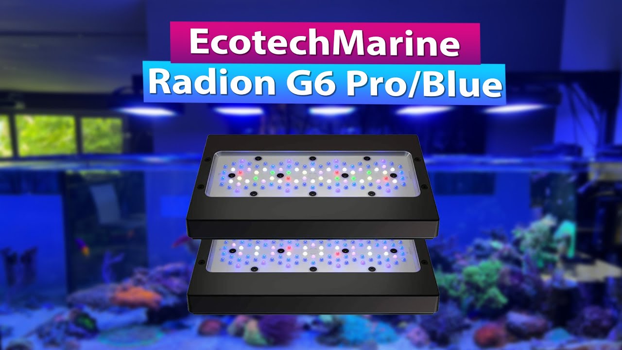 Ecotech Radion G6 Pro and Blue Review & Comparisons with G5