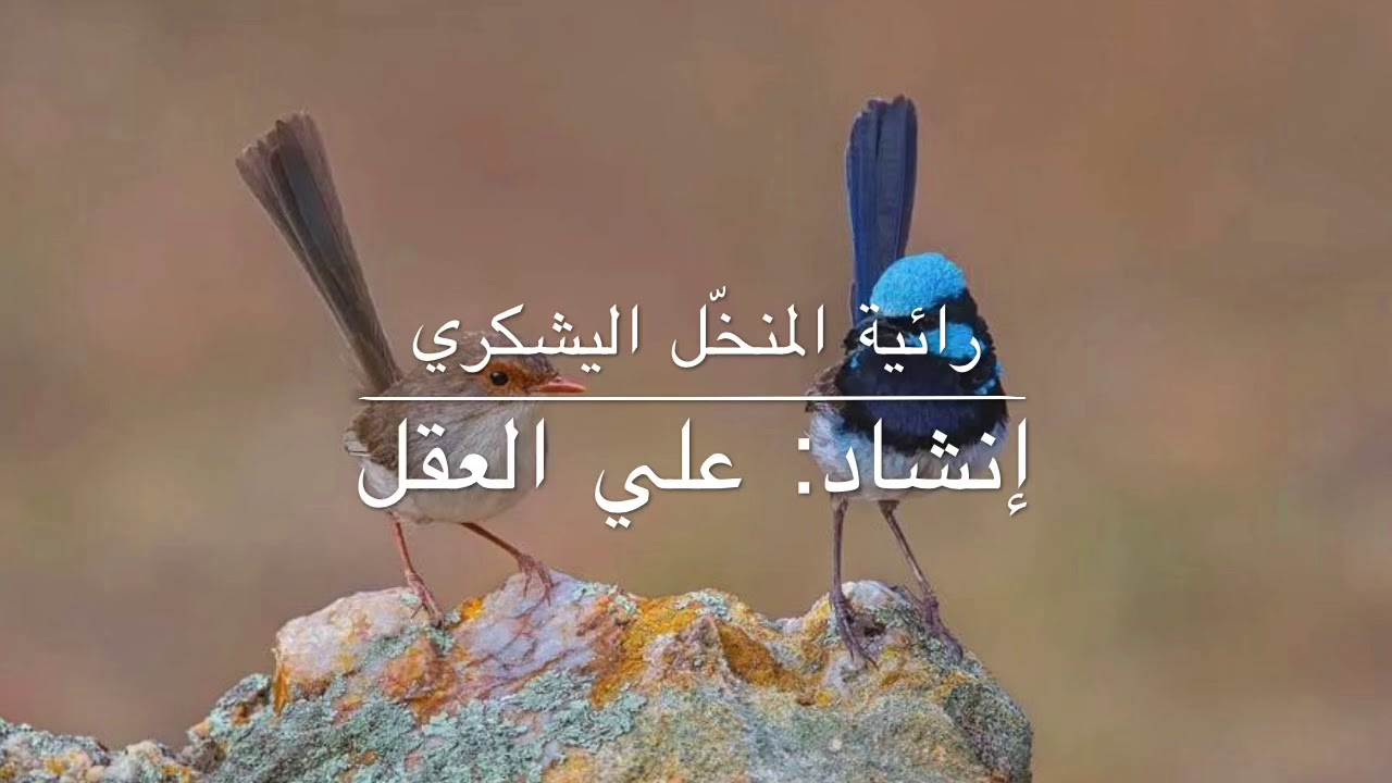 رائية المنخّل اليشكري