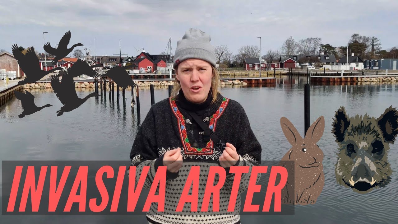Invasiva arter - invaderar och tar &ouml;ver