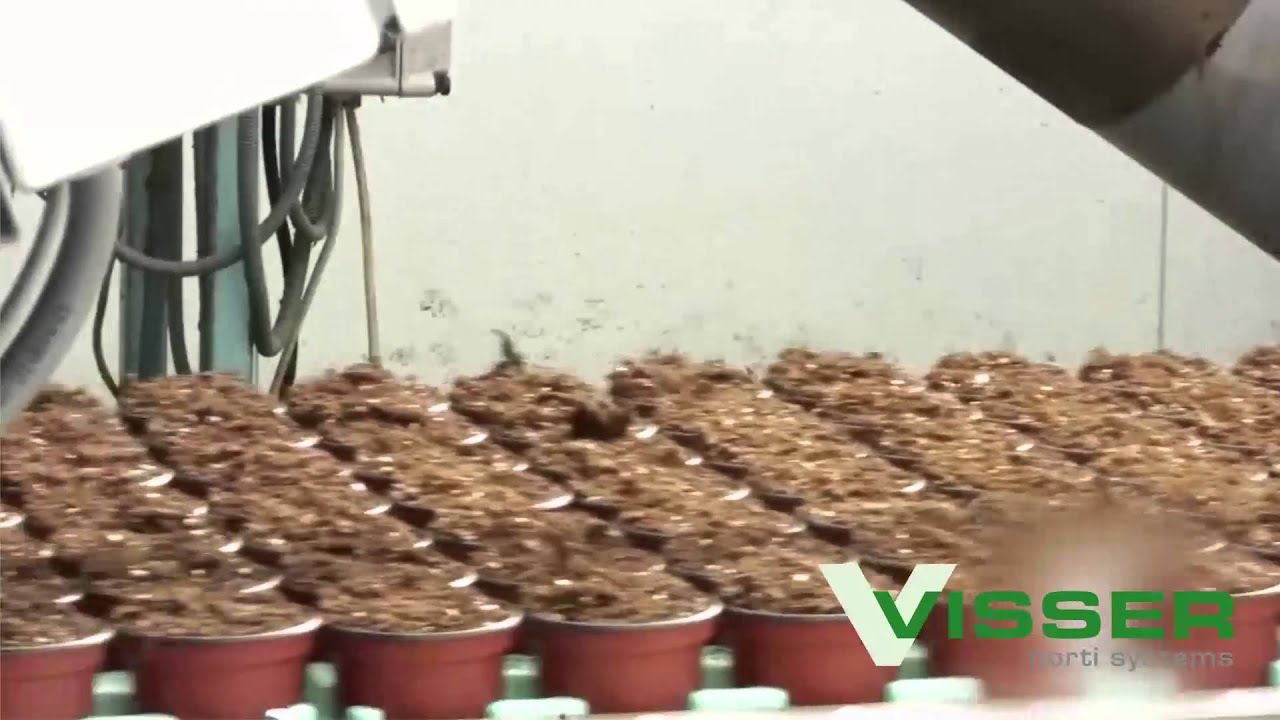 Visser Horti Systems - FF Filler - Pot filling line - Vegobel