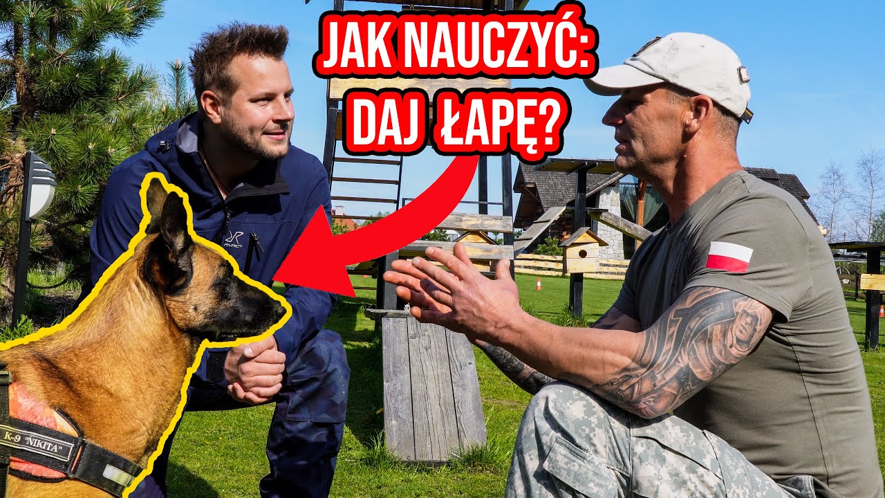 JAK NAUCZYĆ PSA KOMEND ?
