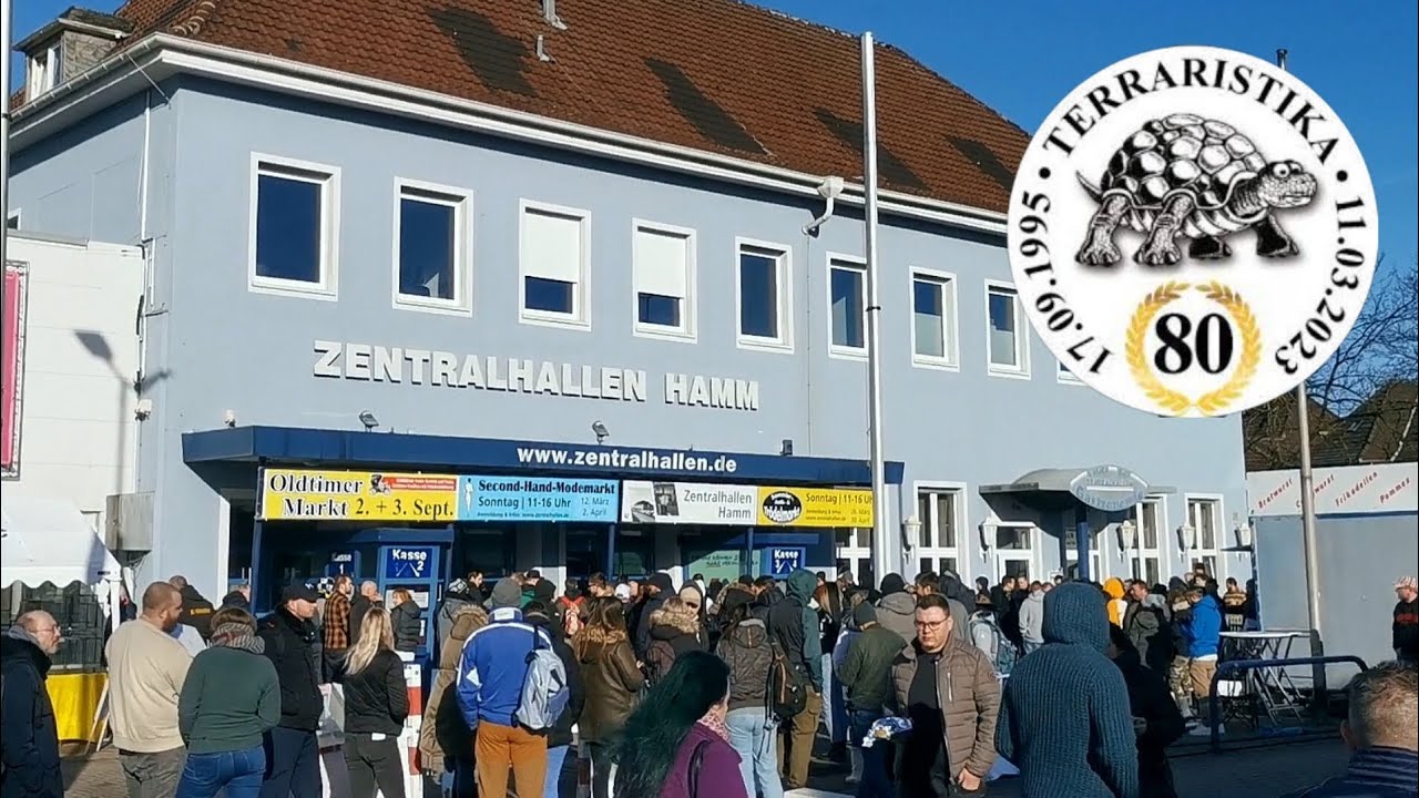 Terraristika HAMM 2023 🇩🇪 (Reptile Expo) + 7 nouveaux animaux (soumis sous Cdc et Aoe) !