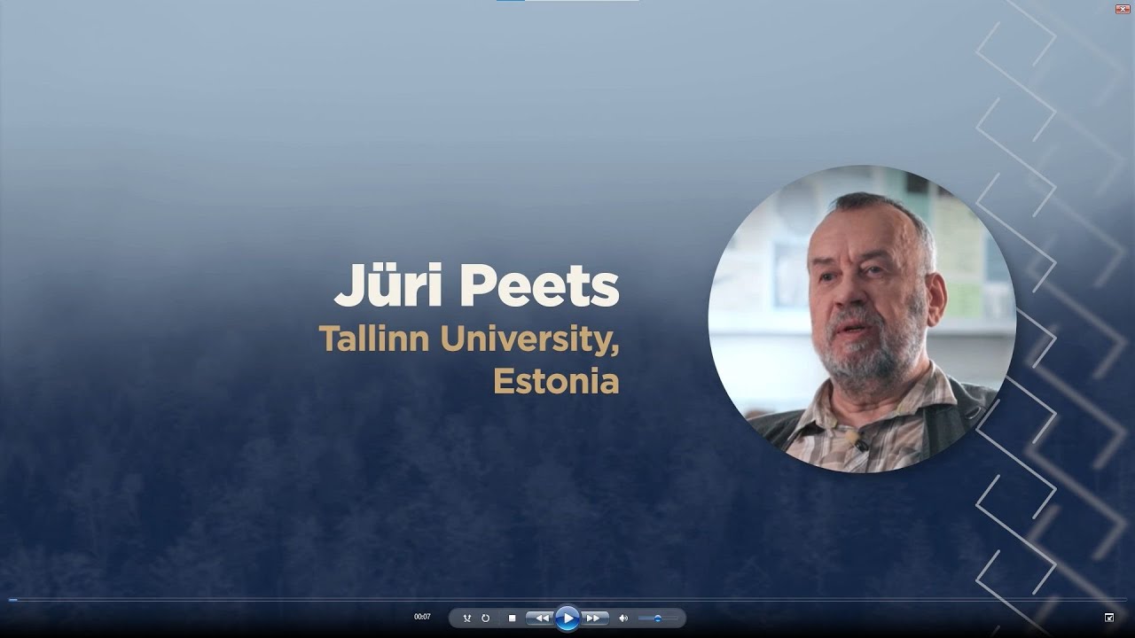Jüri Peets: About the swords of Salme