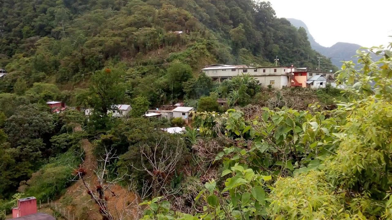 San José Buenavista Eloxochitlan de flores Magón Oaxaca