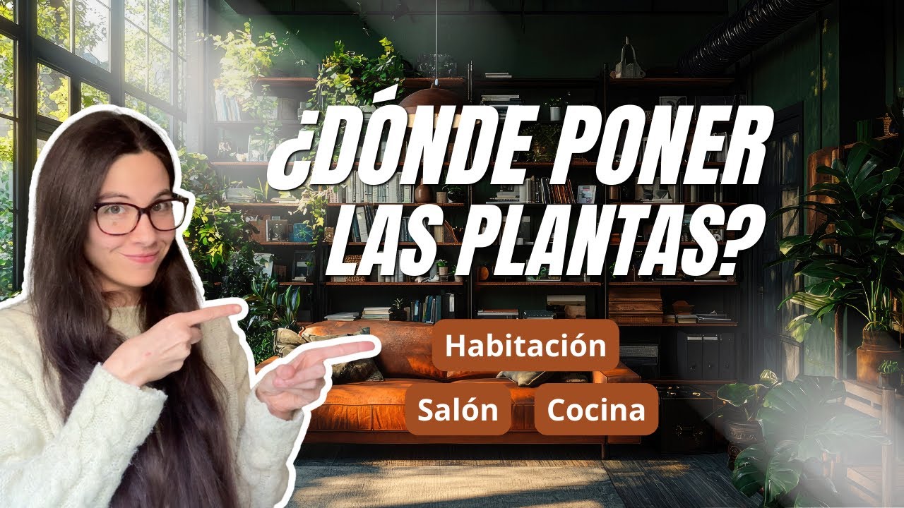 Olvida las ‘plantas perfectas por estancia’: esto es lo que importa ✅