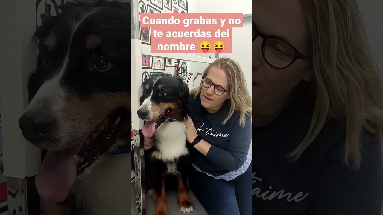 ¡Trucos Divertidos para Grabar Videos con Perros: ¿Olvidaste el Nombre?