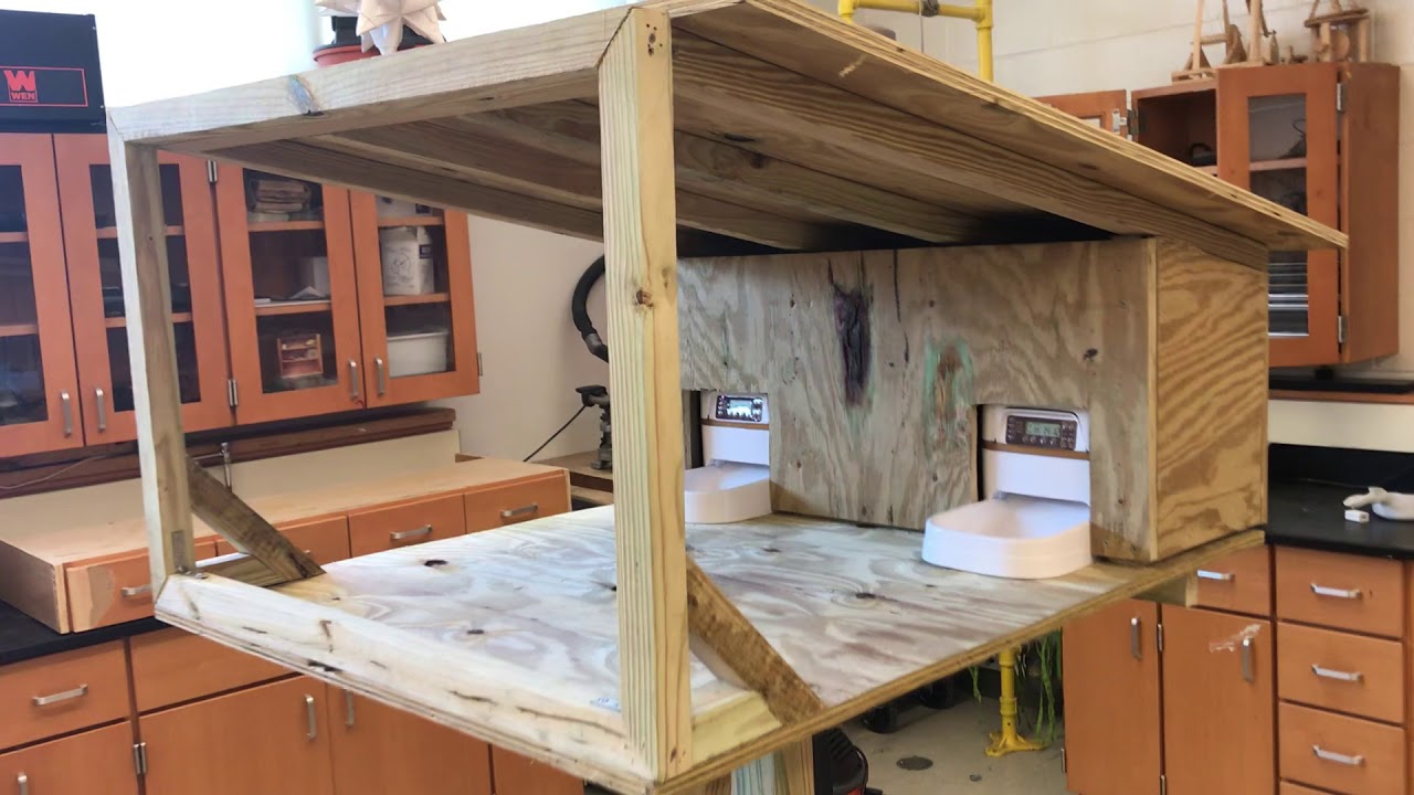 Feral Cat Feeder Project