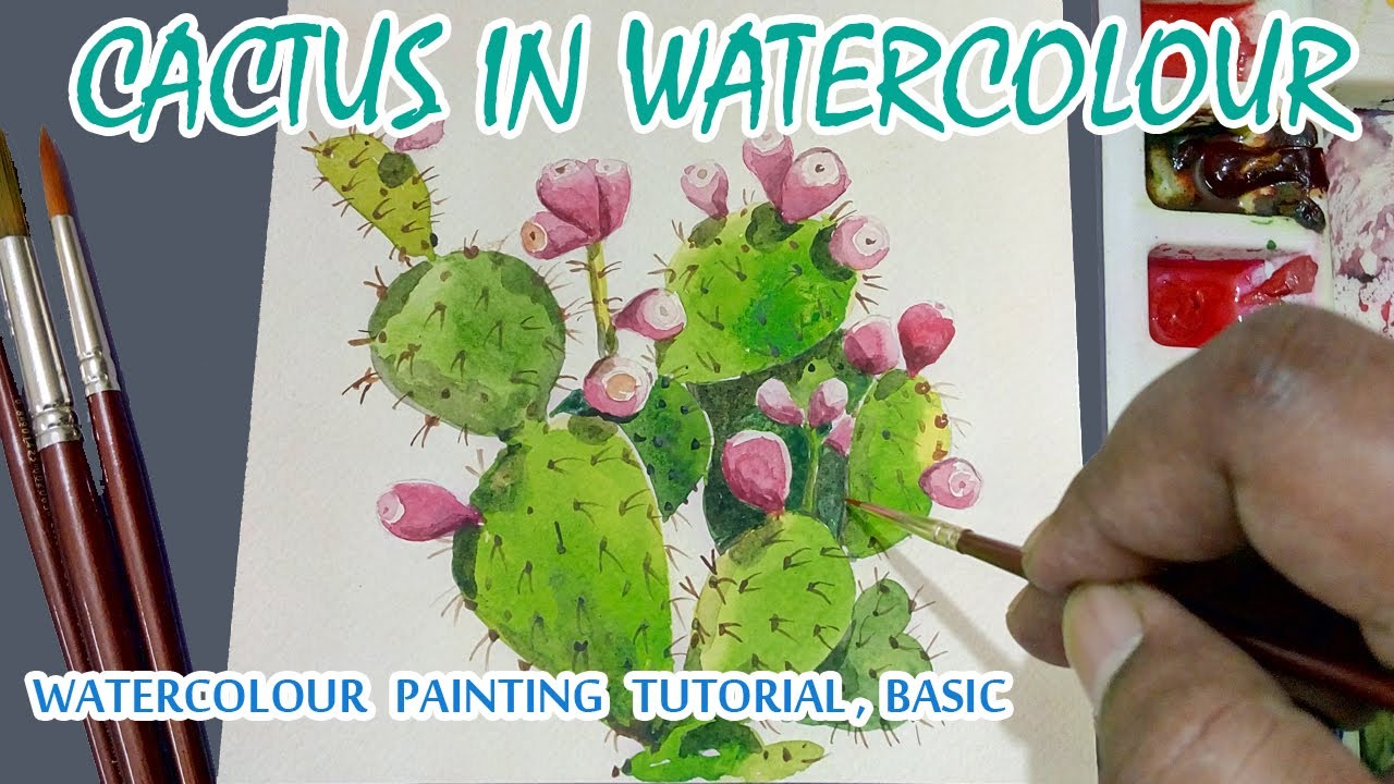 Cactus in Watercolour for Beginners - Prickly Pear Cactus