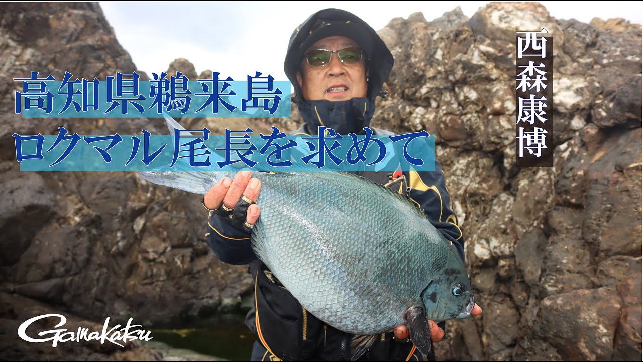 高知県鵜来島・ロクマル尾長を求めて