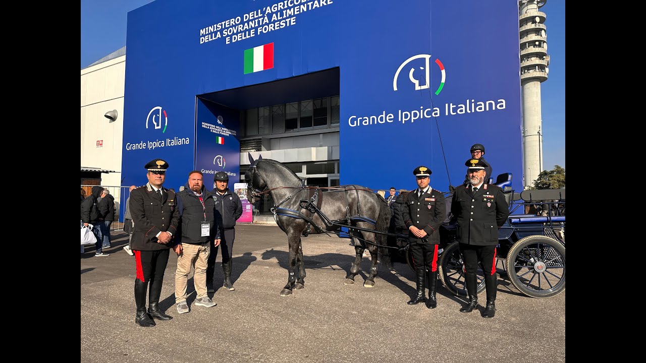 Fieracavalli, uno stallone murgese al centro della scena