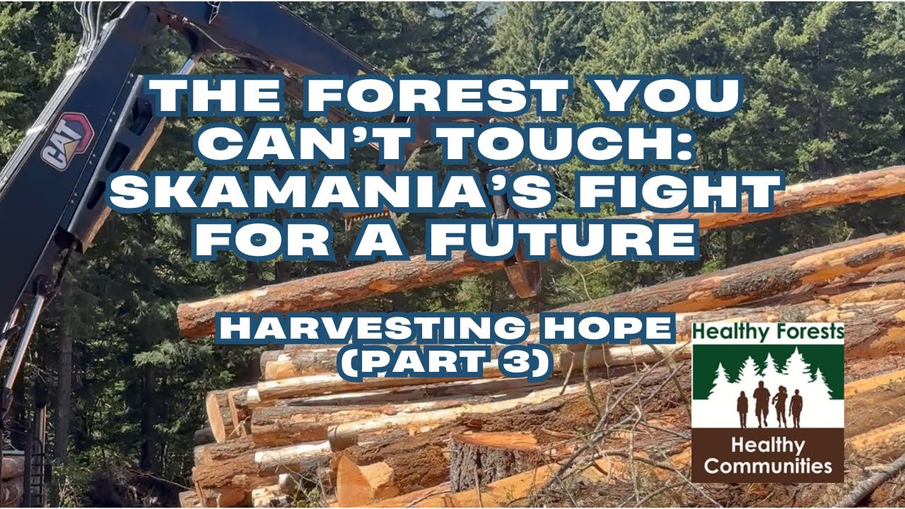 The Forest You Can’t Touch: Skamania’s Fight for a Future - Harvesting Hope (Part 3)