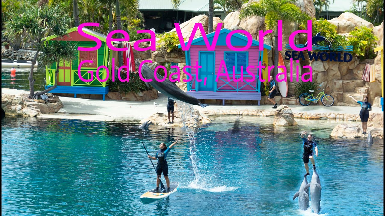 Шоу дельфинов — Sea World, Голд-Кост, Австралия