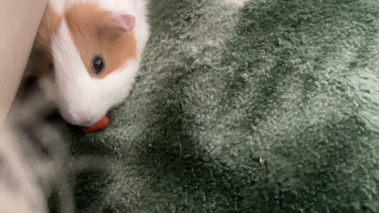 my child is special.