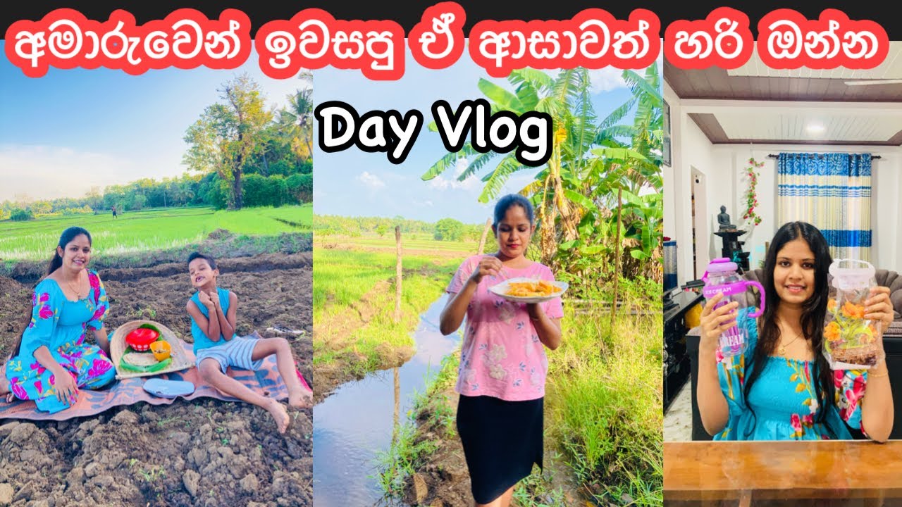 වෙන කෙනෙක්ගෙන් Copy කරන්නම හිතුන ආසාවක් || Day Vlog || A Day in My Life || My Diary