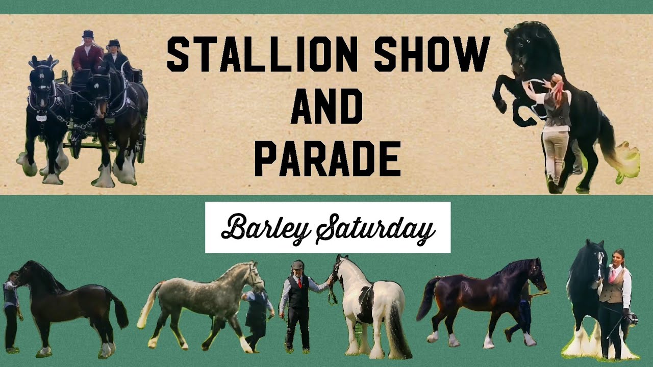 WE VISITED A STALLION SHOW AND PARADE | BARLEY SATURDAY