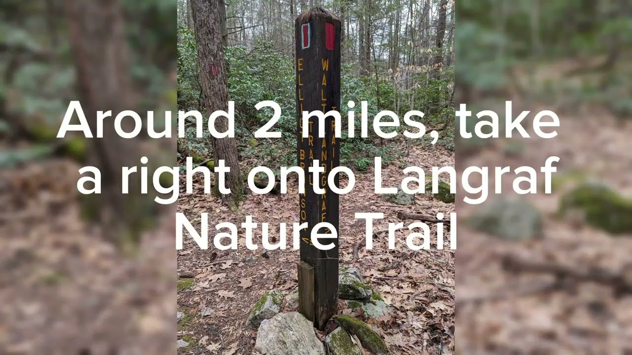 Finding the Native American quarry in Barkhamsted, CT