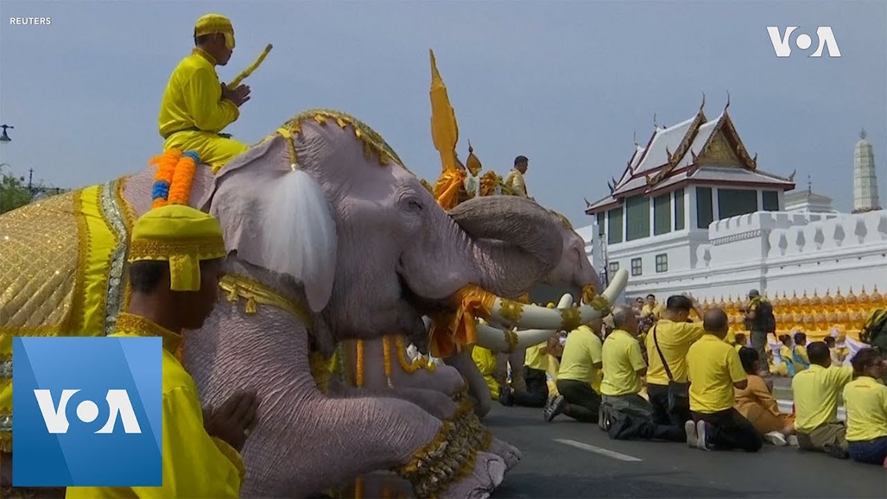 Elephants from Ancient Capital Honor Thai King