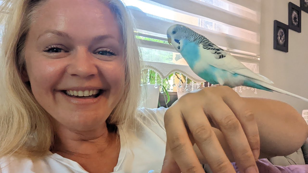 Aus meinem Leben! VLOG Ksenia Zu Tisch bei Ksenia