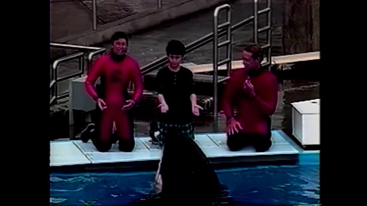 Sensational (1995) - Orca Clips
