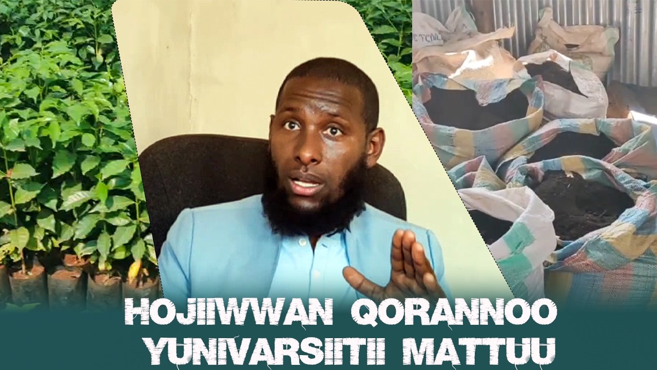 Hojiiwwan qorannoo Yuunivarsiitii Mattuun hojjetama jiran