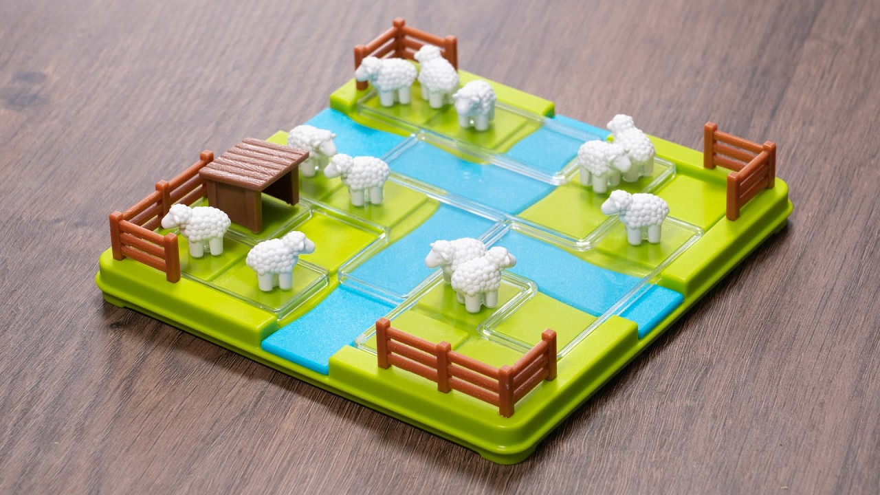 &iquest;C&Oacute;MO MOVER&Iacute;AS LAS 13 OVEJAS SIN TOCAR EL AGUA?