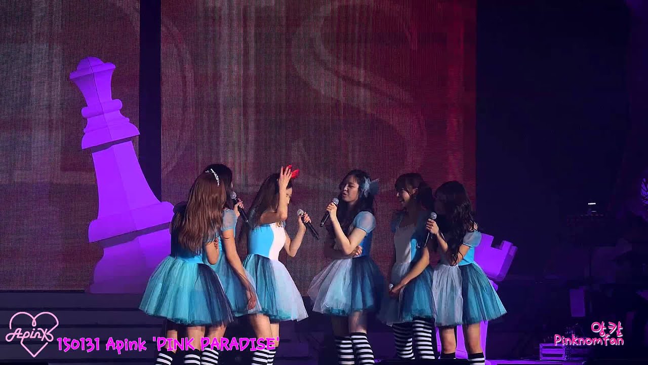 150131 Apink 'PINK PARADISE' 에이핑크 콘서트 공주멘트 직캠 By.앙칼