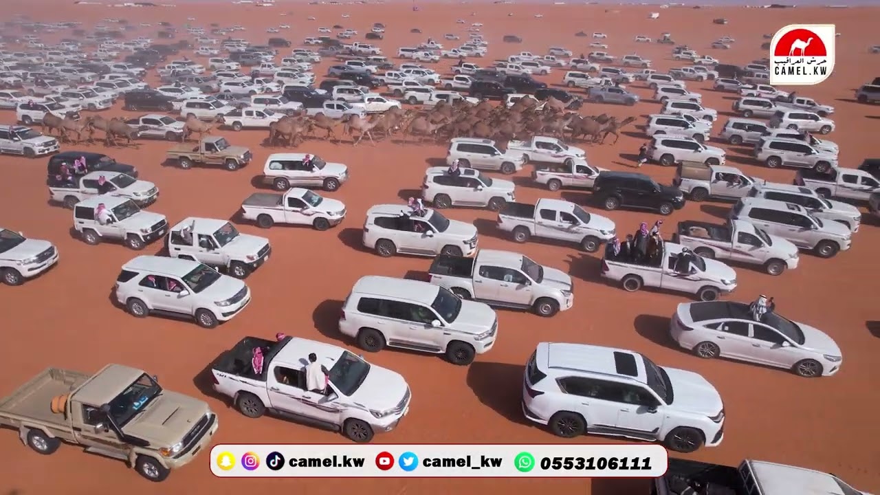 مهيوبات الشعل  رجل الأعمال  مشعل بن جدعان تصوير جوي