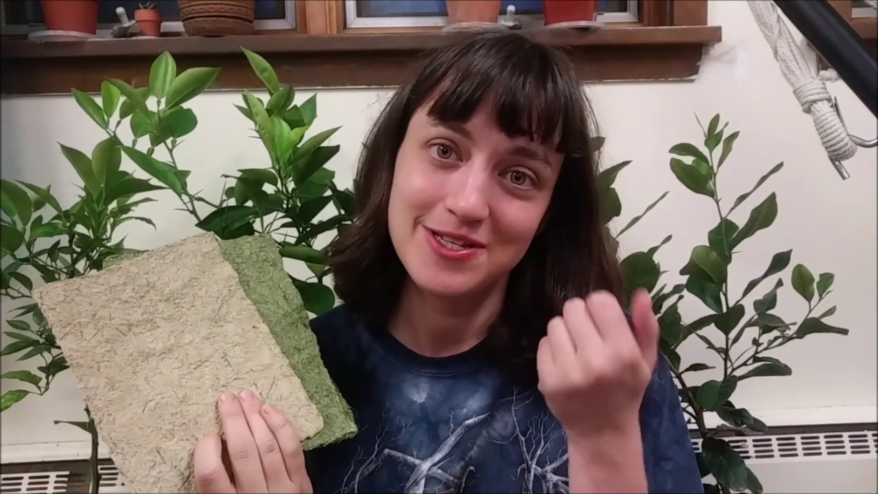 Making Paper from Grass