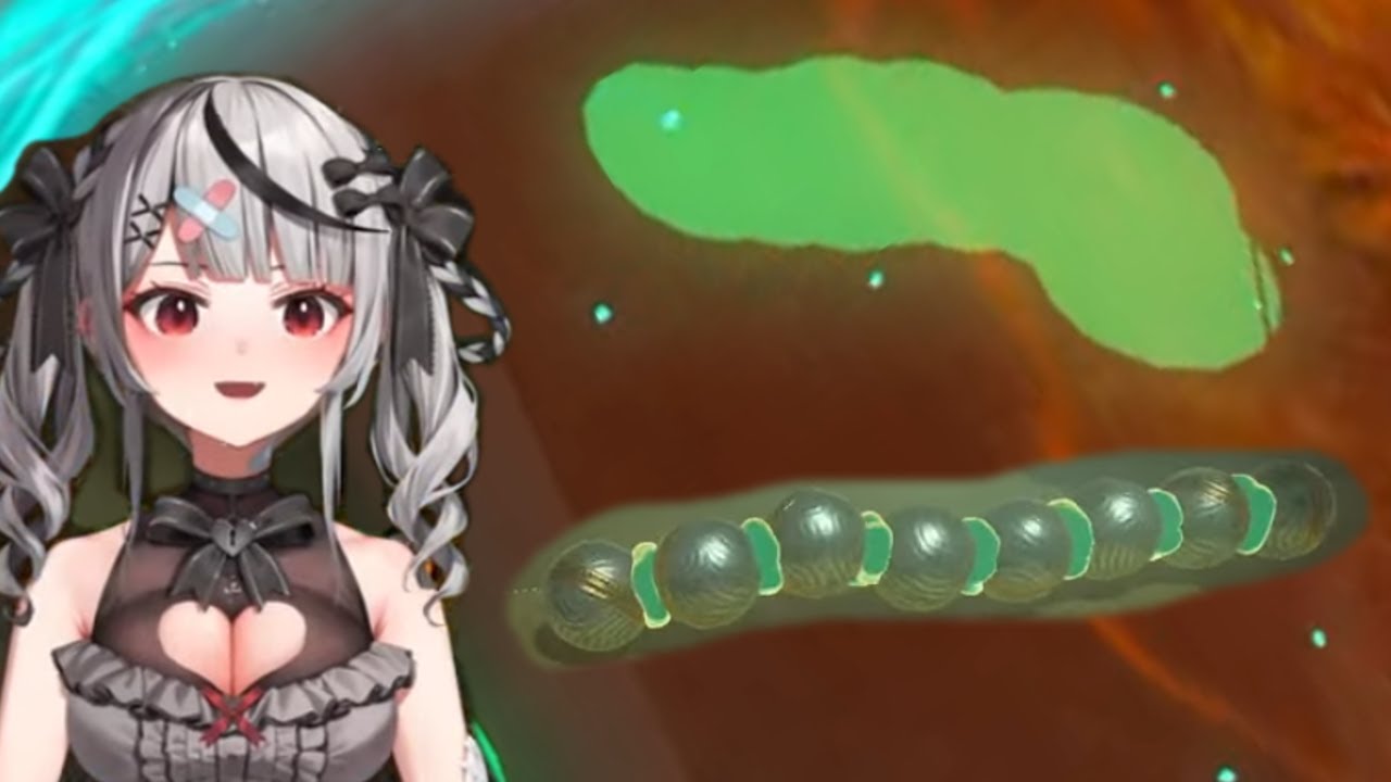 Momentos Random de Hololive 47