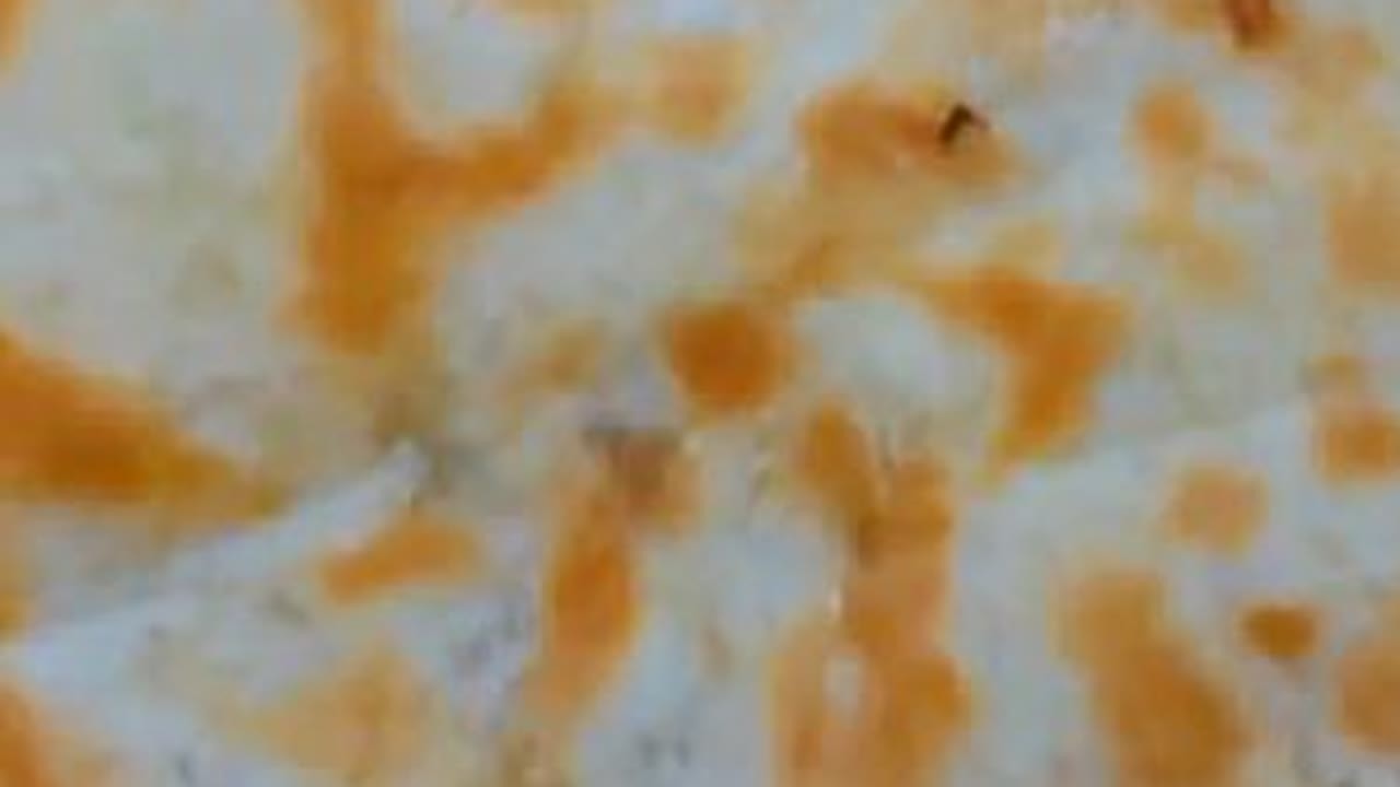 萝卜可以这样吃！不杀水不焯水营养一点不流失！软和又好吃！#萝卜的吃法#自己动手做美食#烙饼