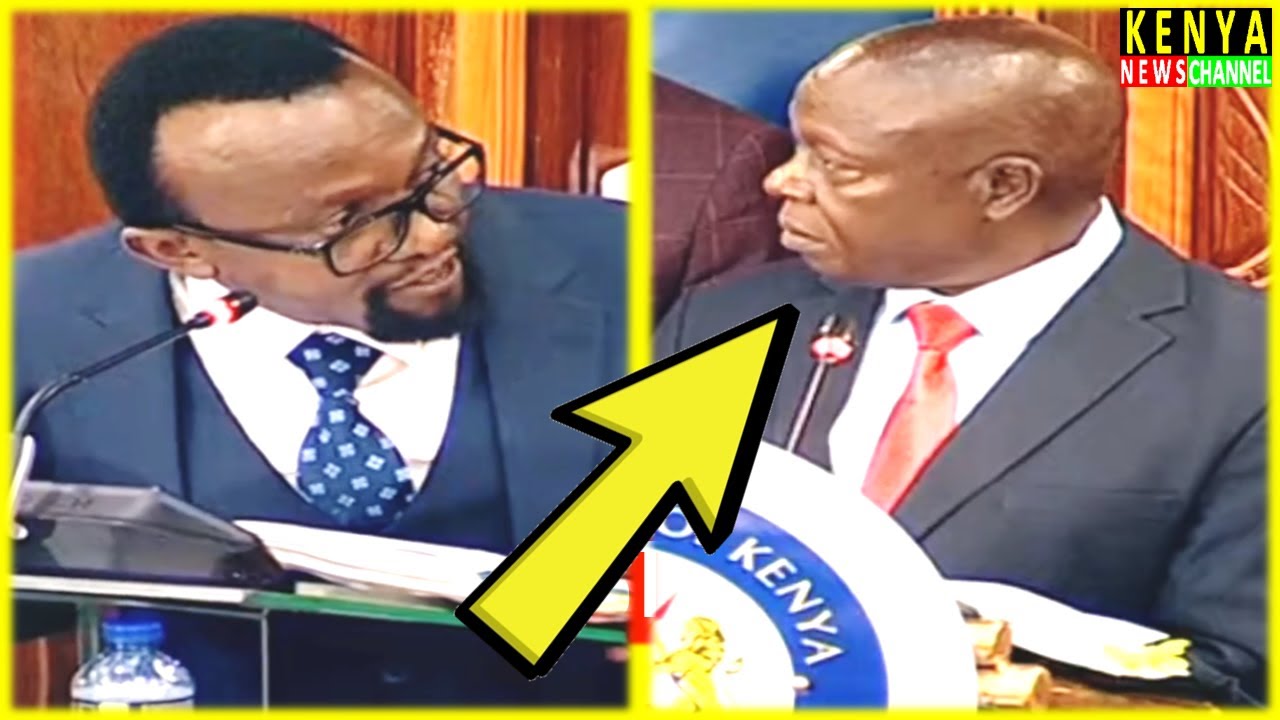 LAUGHTER in Senate as Witness is CORNERED while Defending Kisii DG