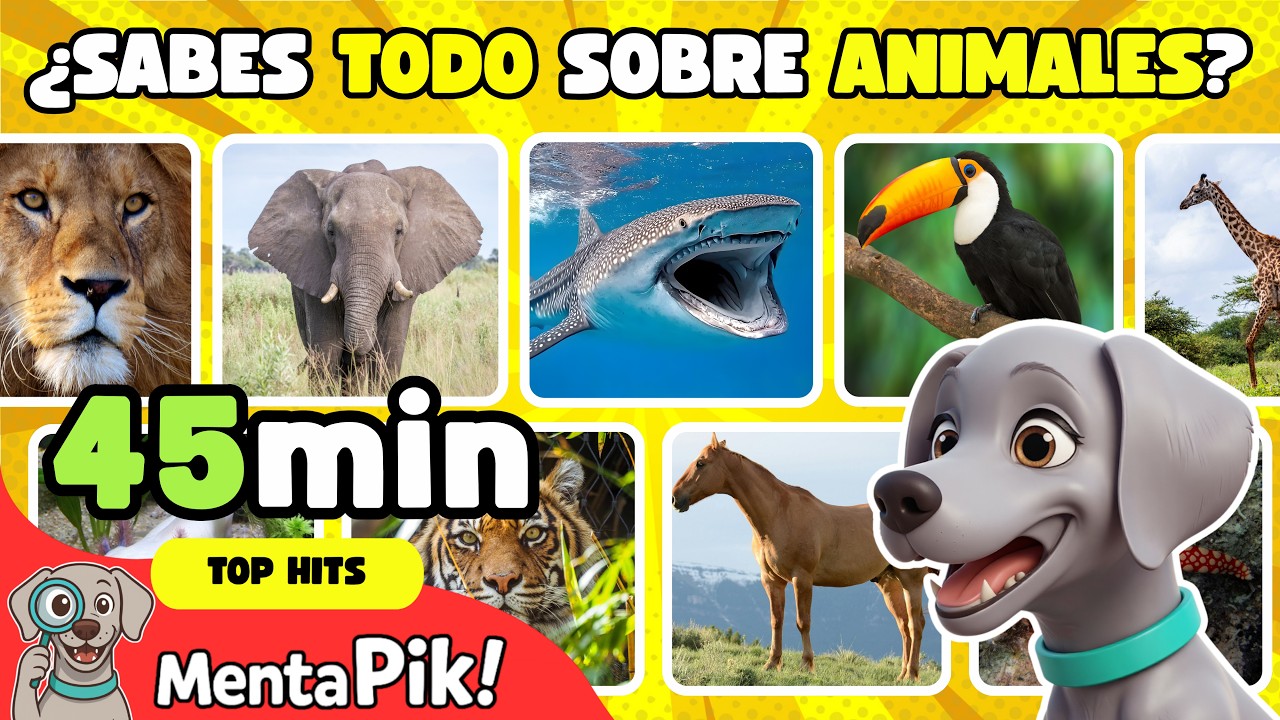 ¿Serás capaz de responder a tiempo? Animales para niños