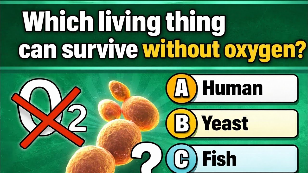 🧠 Can Only Smart Minds Answer These 20 Biology Questions? 🤯🧬#quizdino#dailyquiz#educational quize