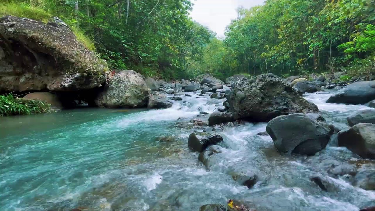 River Sounds for Deep Sleep (No Music, Natural Water)