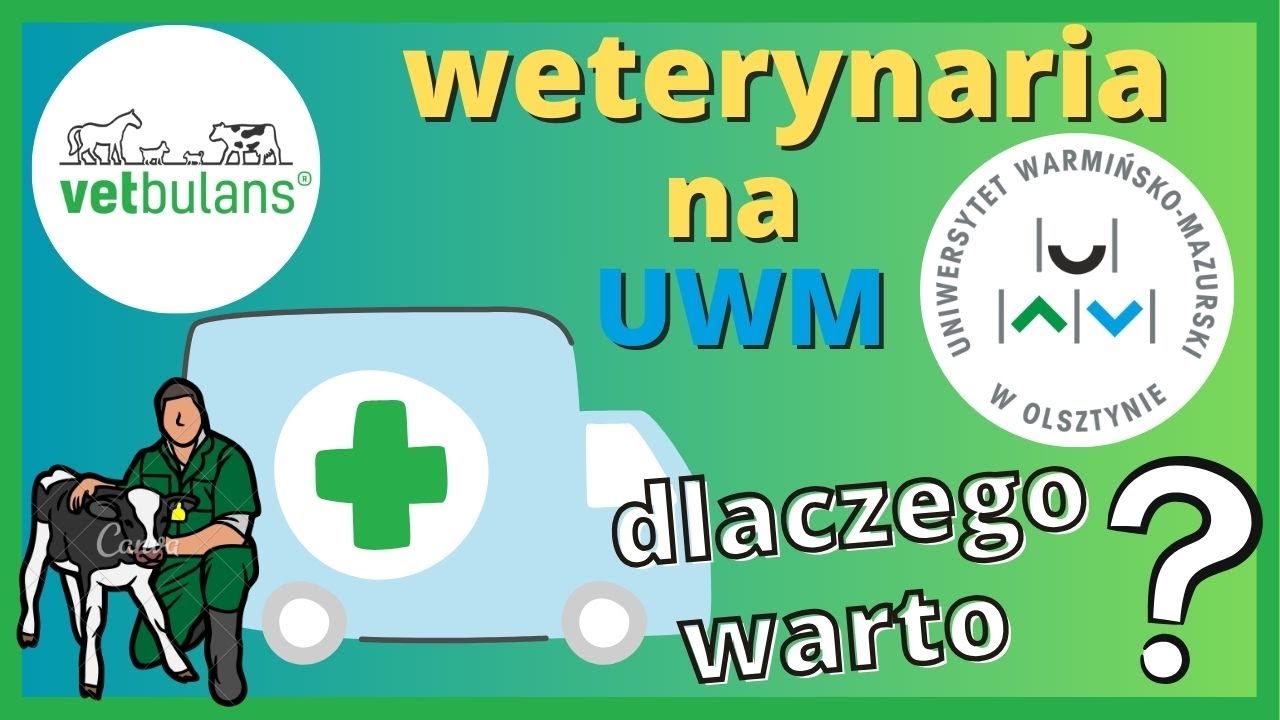 Jak wygląda klinika wyjazdowa zwierząt gospodarskich i koni na UWM? Profesor Barański prezentuje
