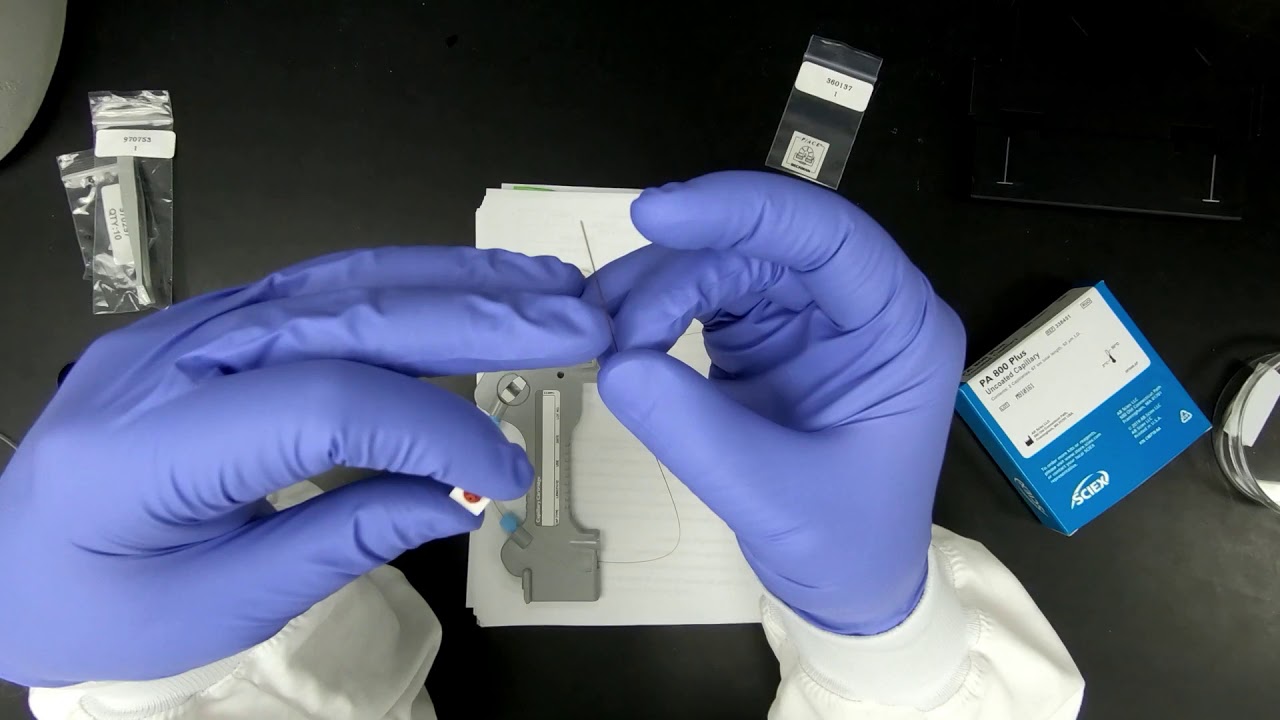 CE Capillary Prep