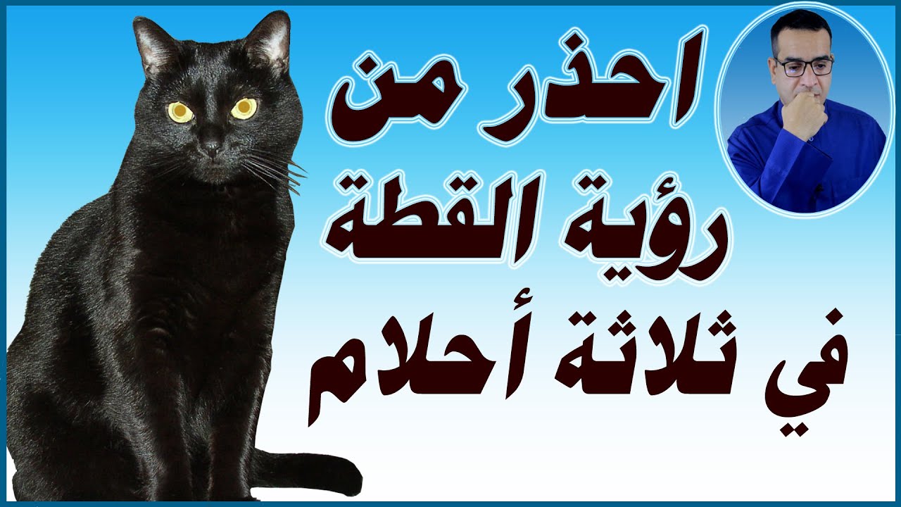 احذر من رؤية القطة في ثلاثة أحلام