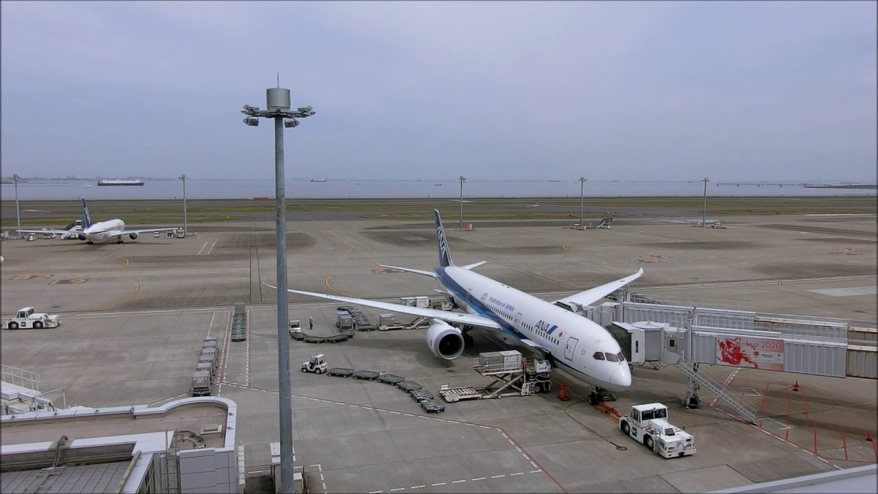 [Time-Lapse] ANA B787 到着から出発まで 羽田空港 [タイムラプス]