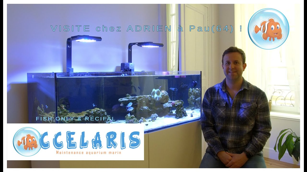 VISITE WATERBOX SHALLOW à Pau OCCELARIS !!!