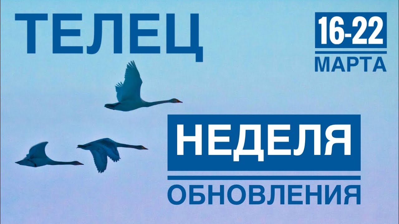 Телец ♉️ Весеннее равноденствие открывает новую дорогу | Таро прогноз 16–22 марта