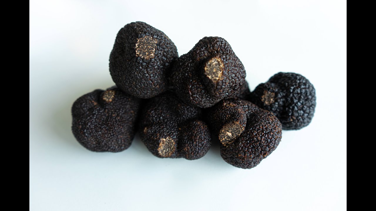 Superalimentos: los secretos de la trufa negra chilena, el oro negro del Siglo XXI