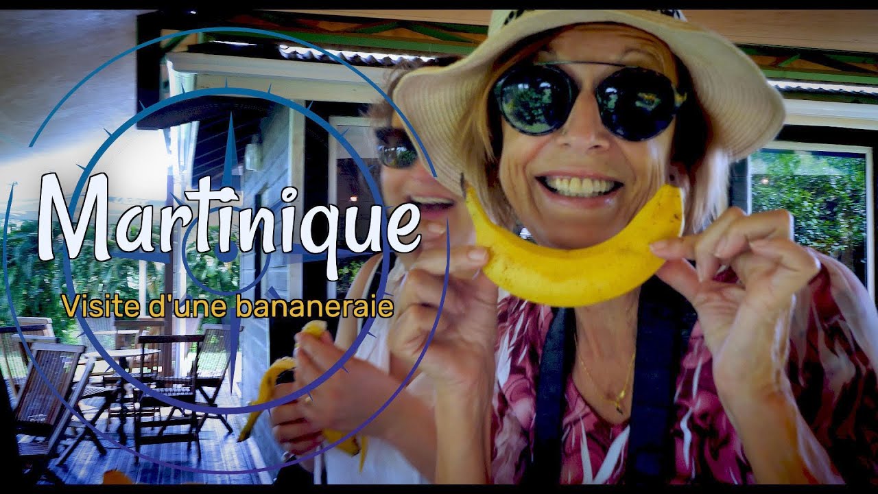 Visite d'une bananeraie en Martinique