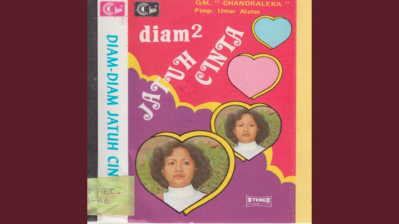 Diam Diam Jatuh Cinta