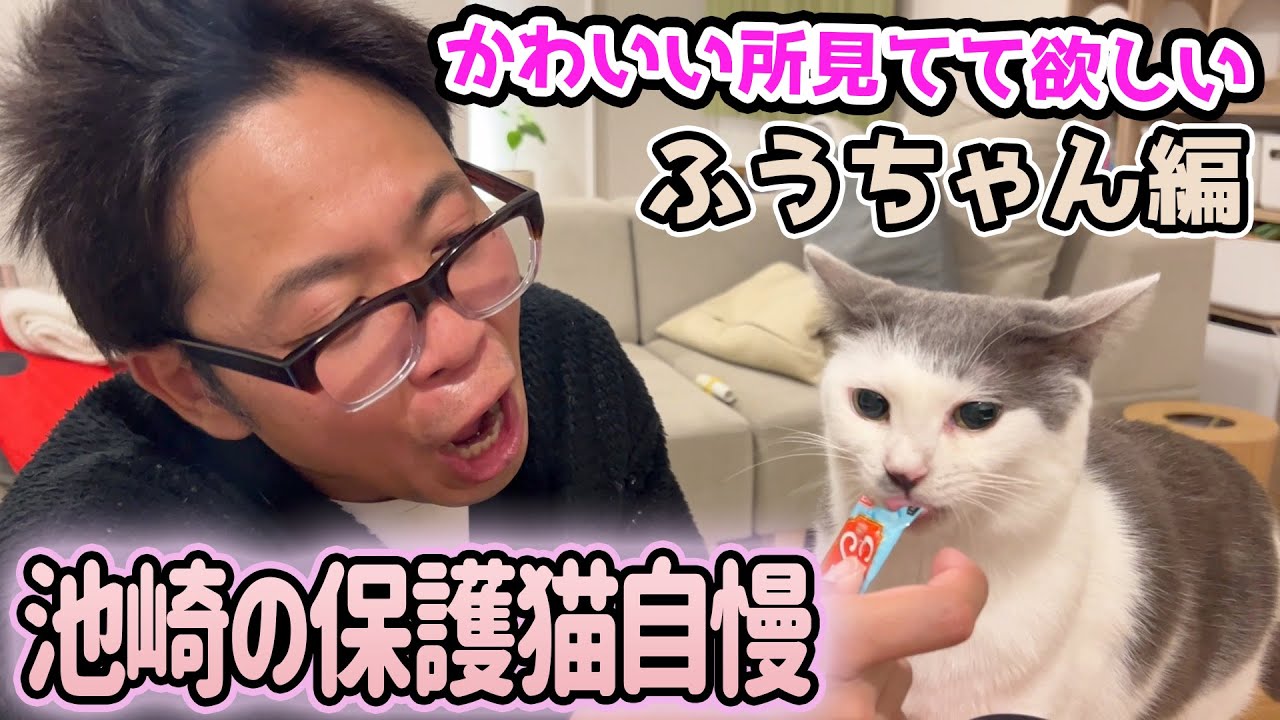 みんなのアイドルふうちゃんのかわいいところを見てて欲しい！サンシャイン池崎の保護猫ライフ