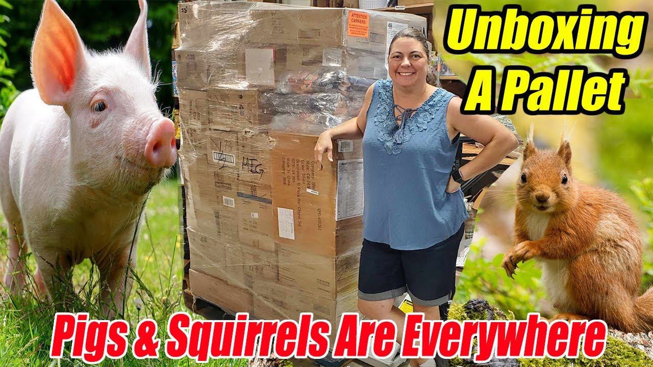 Unboxing a Huge pallet and there were Pigs & Squirrels were everywhere Check out the amazing items