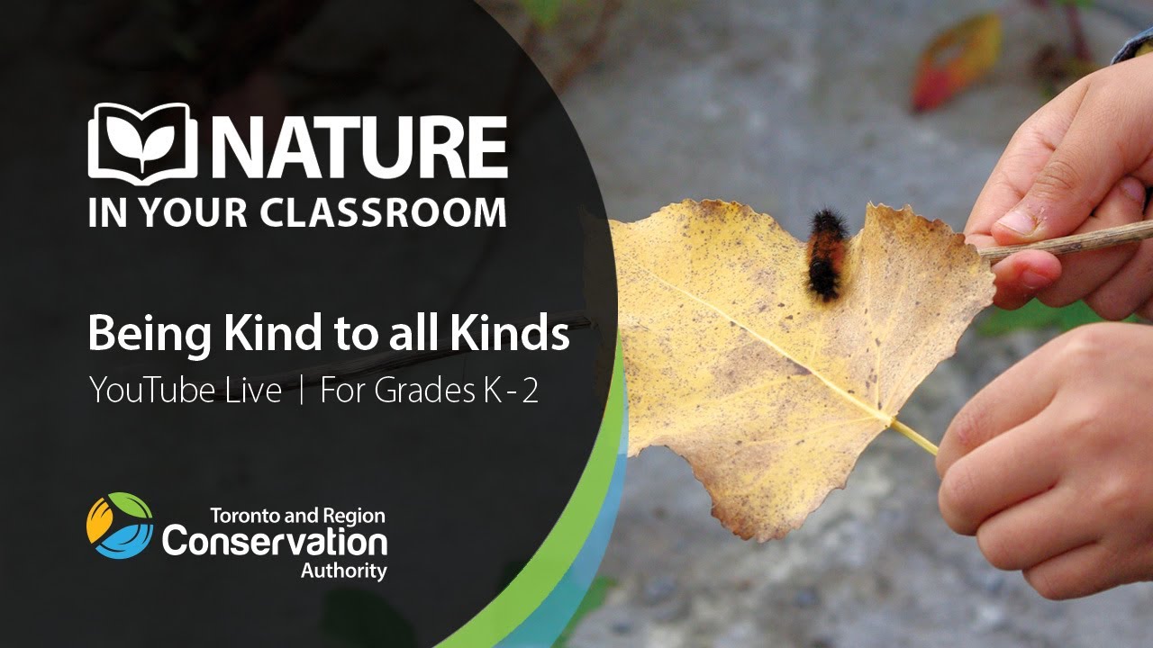 Nature in Your Classroom - Being Kind to All Kinds | K - Gr. 2