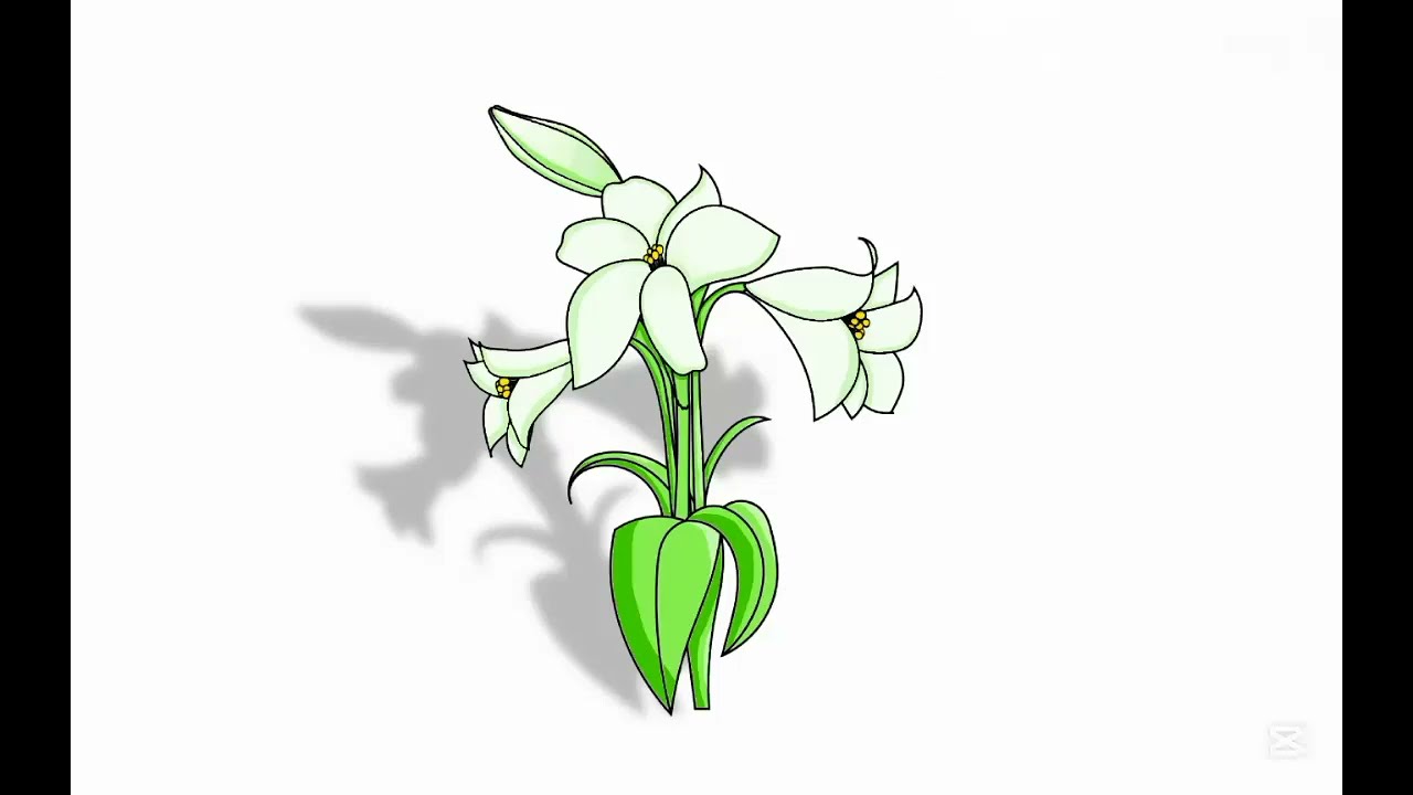 お花ぬってみた (本気で)